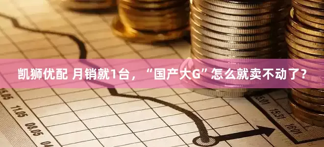 凯狮优配 月销就1台，“国产大G”怎么就卖不动了？