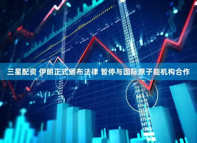 三星配资 伊朗正式颁布法律 暂停与国际原子能机构合作
