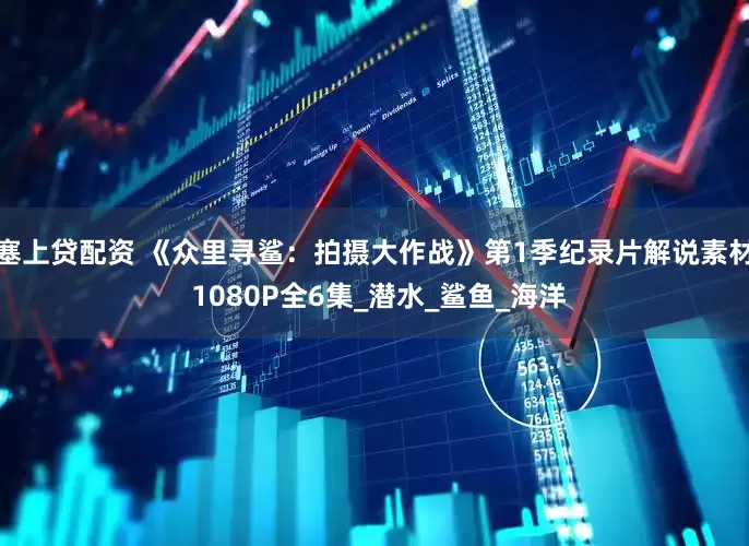 塞上贷配资 《众里寻鲨：拍摄大作战》第1季纪录片解说素材 1080P全6集_潜水_鲨鱼_海洋