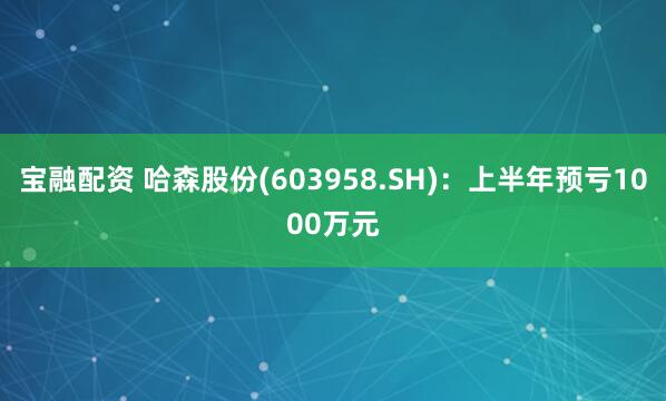 宝融配资 哈森股份(603958.SH)：上半年预亏1000万元