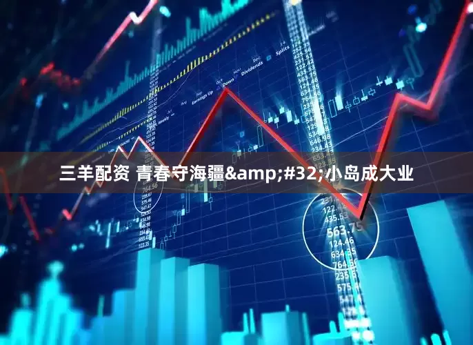 三羊配资 青春守海疆&#32;小岛成大业